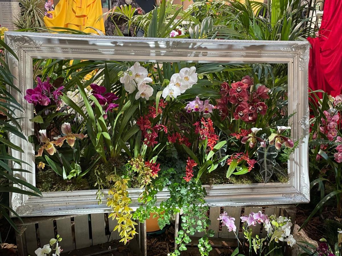 Menton Centre Vue Imprenable Sur Mer Et Jardin Bioves 外观 照片