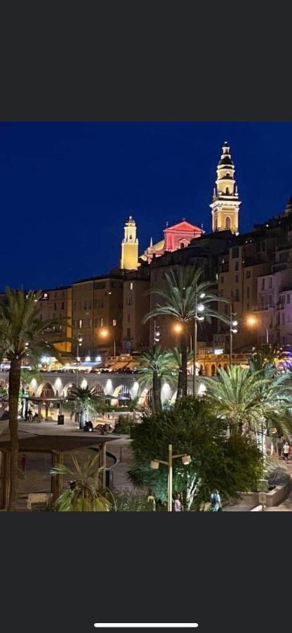Menton Centre Vue Imprenable Sur Mer Et Jardin Bioves 外观 照片