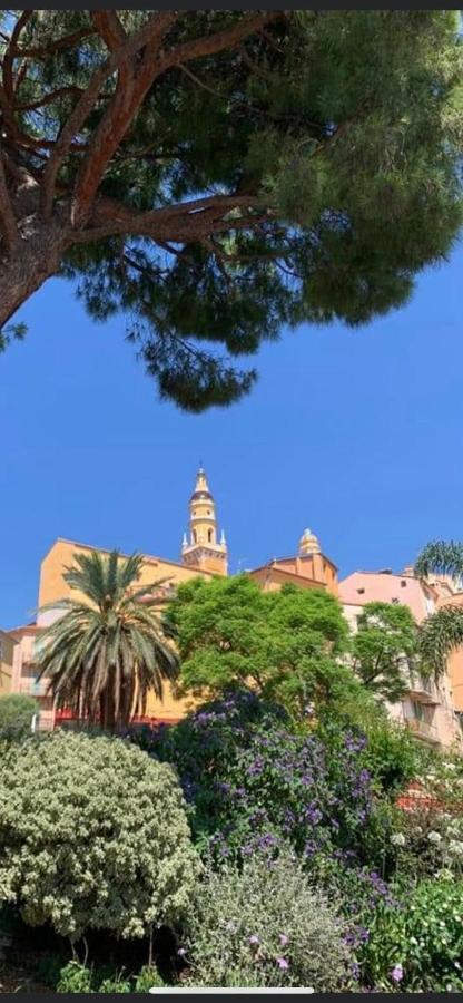 Menton Centre Vue Imprenable Sur Mer Et Jardin Bioves 外观 照片