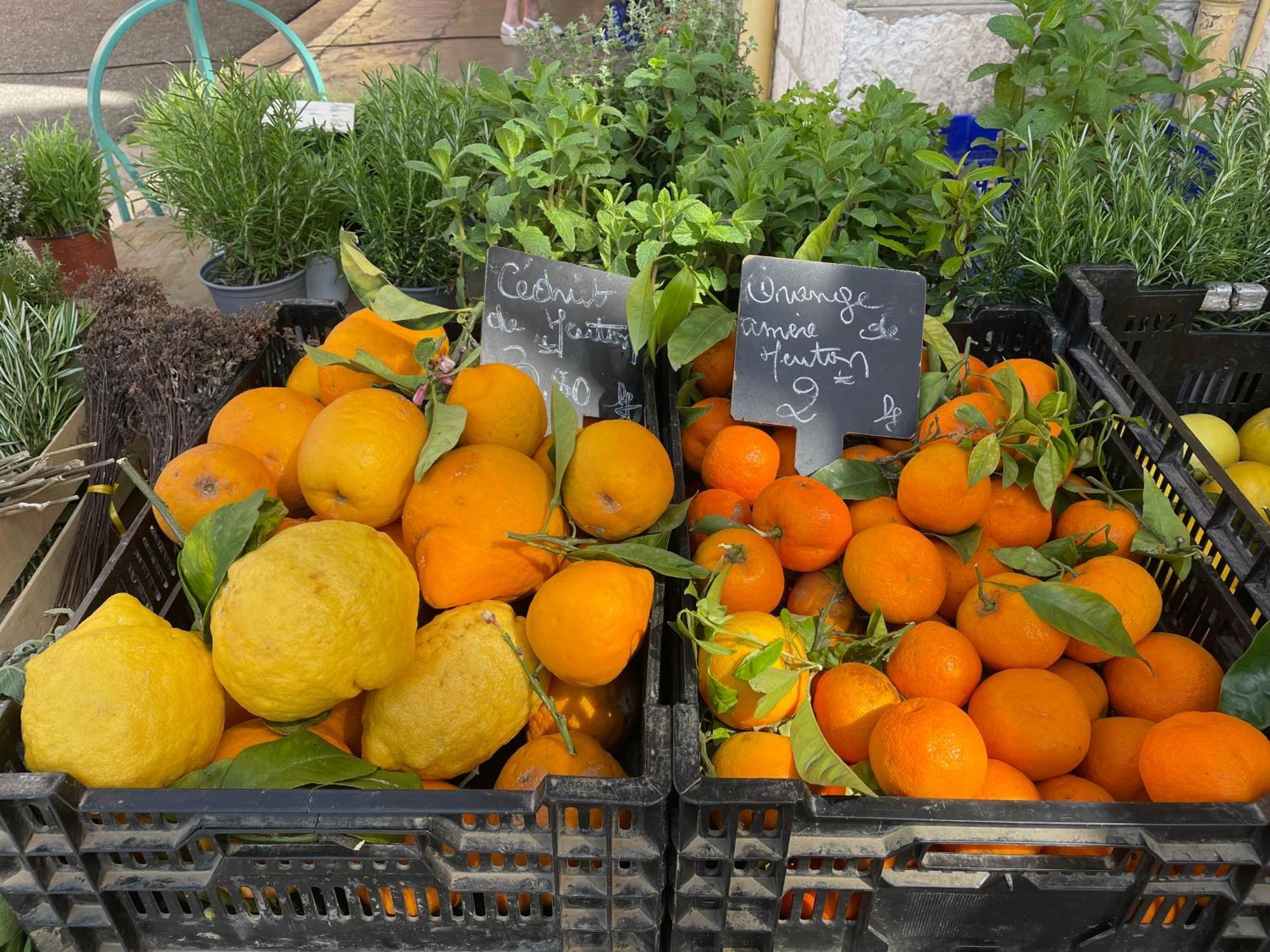 Menton Centre Vue Imprenable Sur Mer Et Jardin Bioves 外观 照片